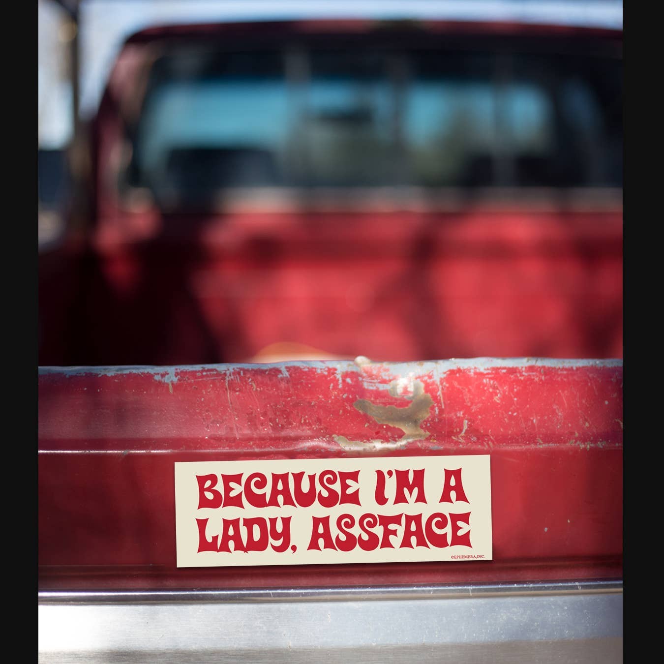 👩 “Because I’m A Lady, ASSFACE” 😂 Funny Bumper Car Fridge Magnet | USA Made