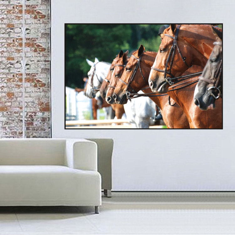 Horses Wall Decal Farm Horse Horseback Riding Frame Vinyl Removable Art, a41
