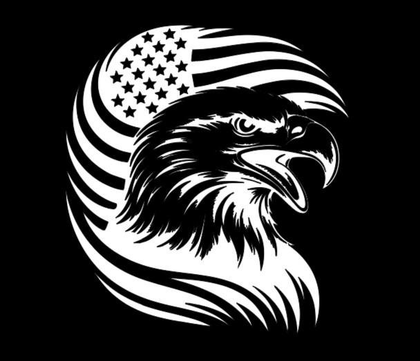 American Flag Eagle Vinyl Decal Sticker Car Truck Window Bumper Patriotic USA