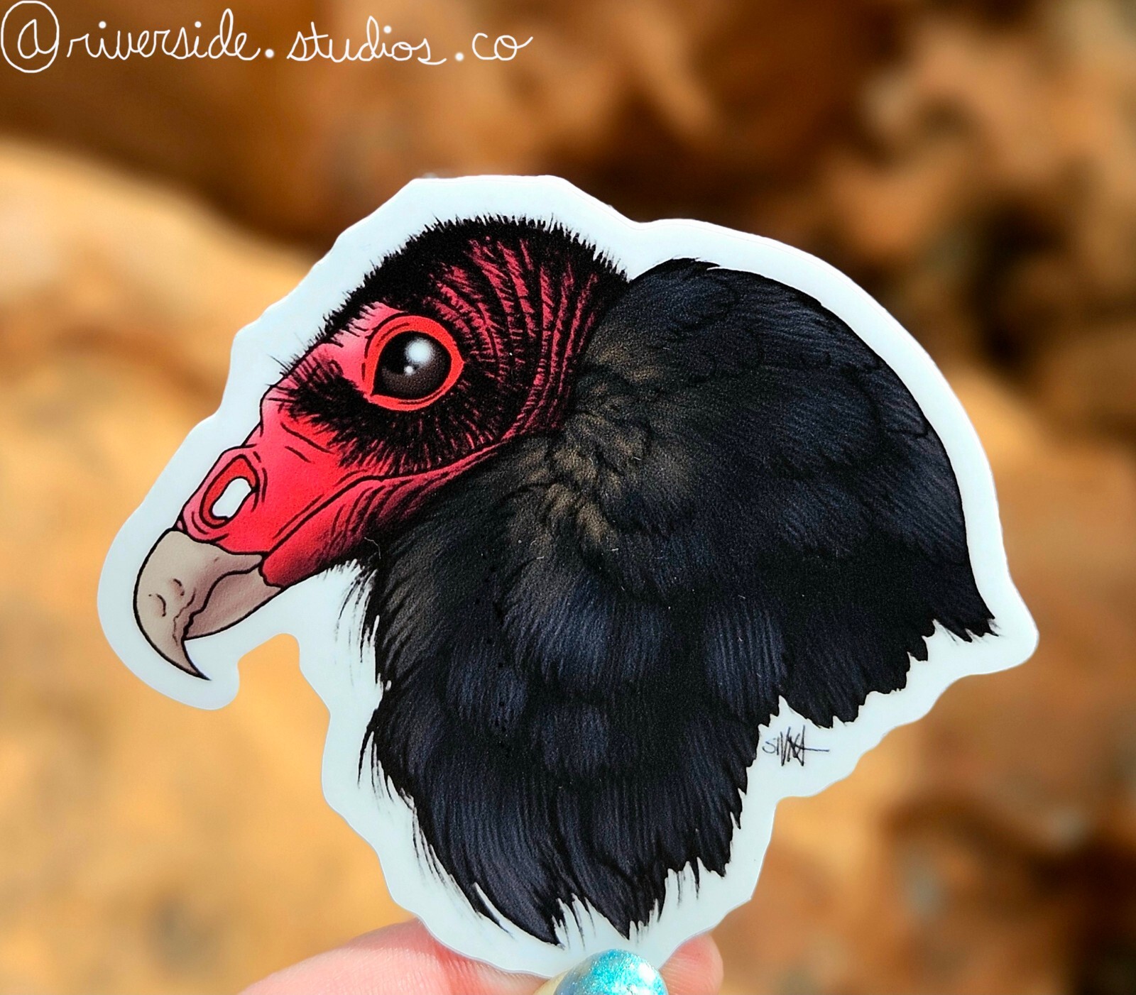 Turkey Vulture Vinyl Sticker 3″ – Original Fantasy Wildlife Wild Bird