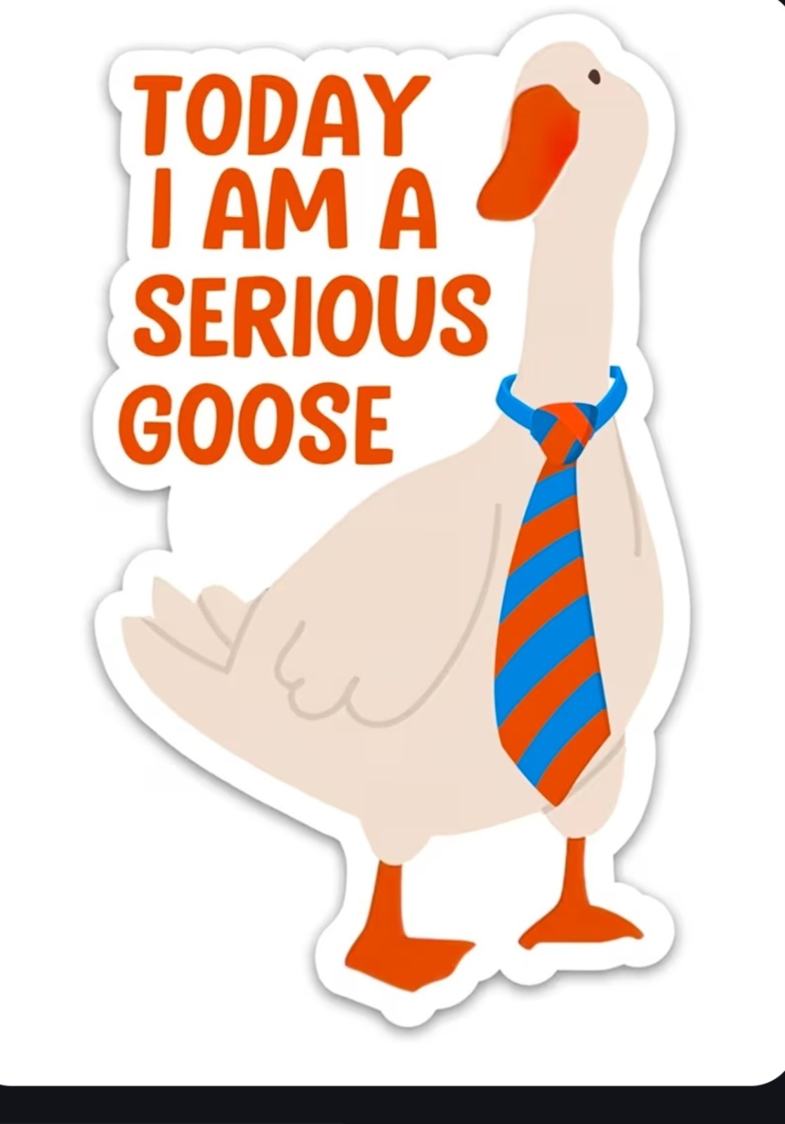 Serious Goose ~ 2″ Vinyl Sticker ~ Funny Meme Decal
