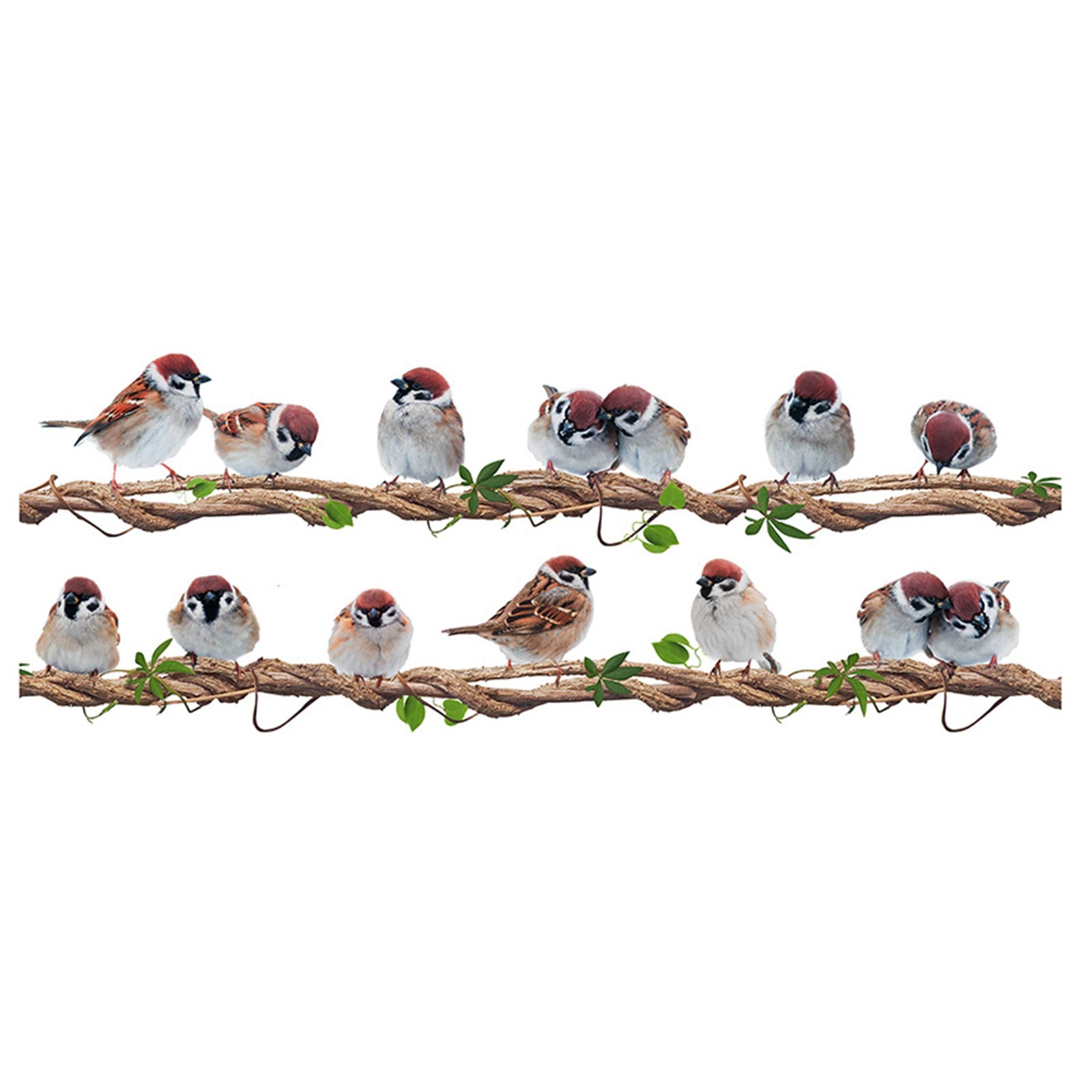 Vinyl Art Murals Removable Bird Wall Stickers Lifelike Lovely Birds Decor