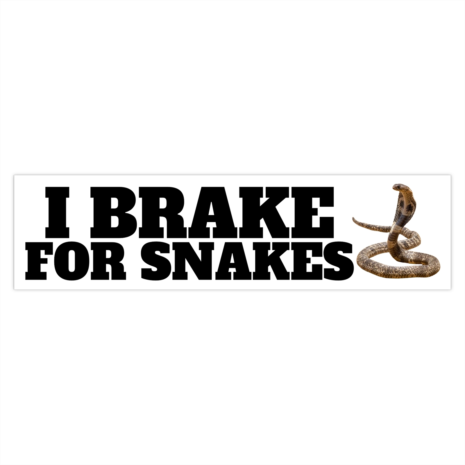 Vinyl Bumper Sticker – I Brake for Snakes / Reptiles – Unique Cobra Art Love