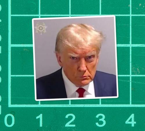 Donald J Trump Mug Shot Sticker inmate jail