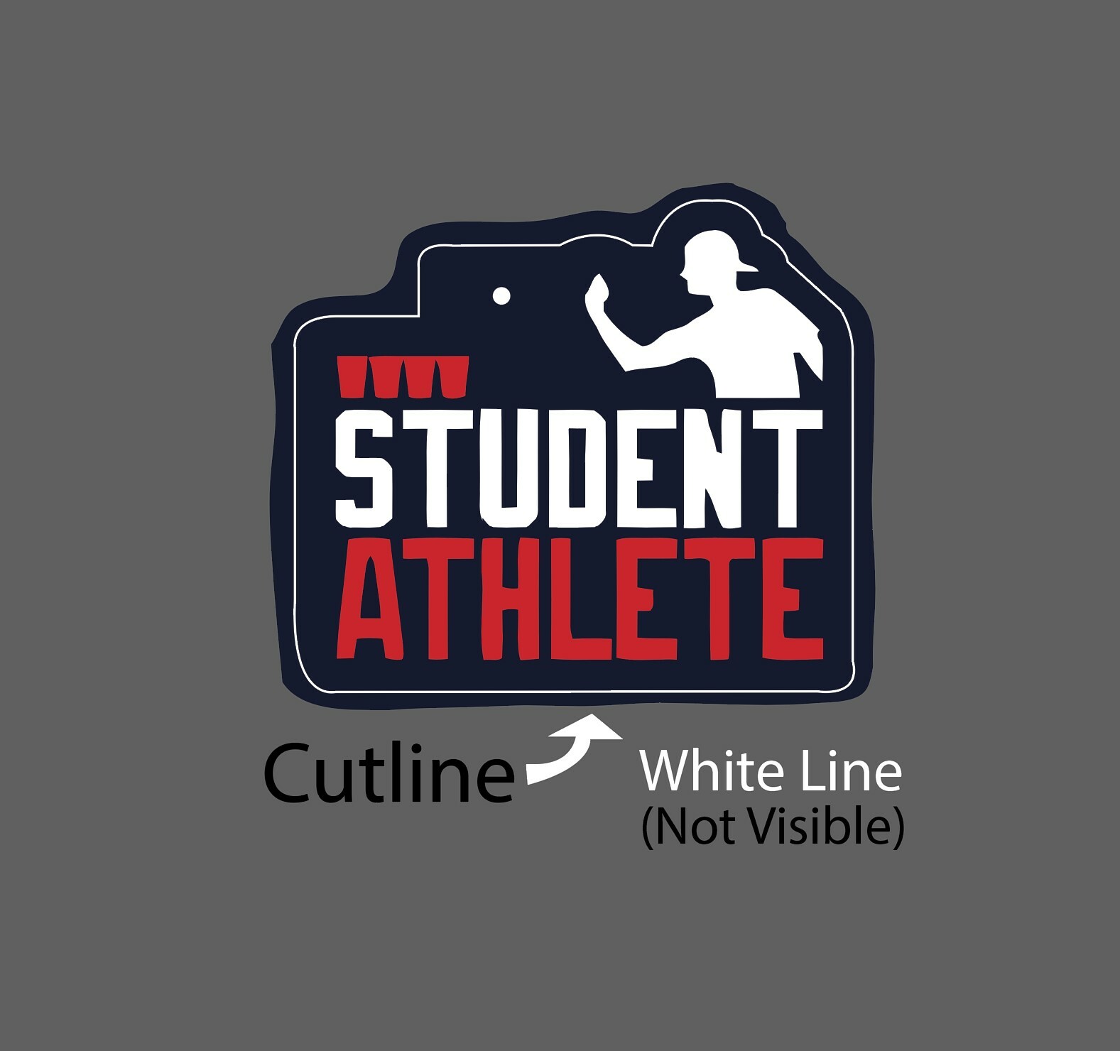 Student Athlete Sticker Pong Waterproof – Buy Any 4 For $1.75 Each Storewide!