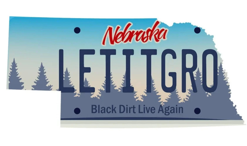 🌹⚡️GRATEFUL DEAD Nebraska Let It Grow Sticker *NEW* Measures 3″ x 1.5″⚡️🌹