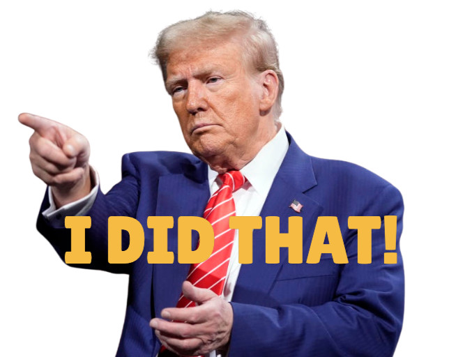 12 pc Trump I Did That Stickers, Gas Pump Stickers, High Quality Vinyl