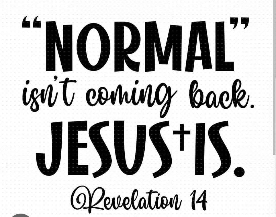 Normal is’nt coming back Jesus is Sticker Decal Laptop Wall Mirror Tumblr Locker