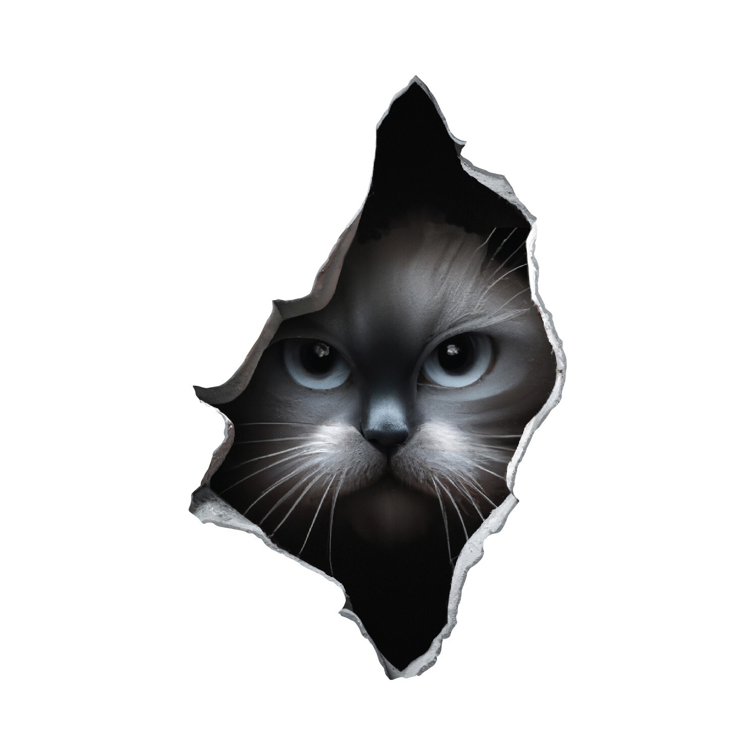 Grey Cat Peeking Through Hole in Wall – Wall Decal High Quality Removable Vinyl