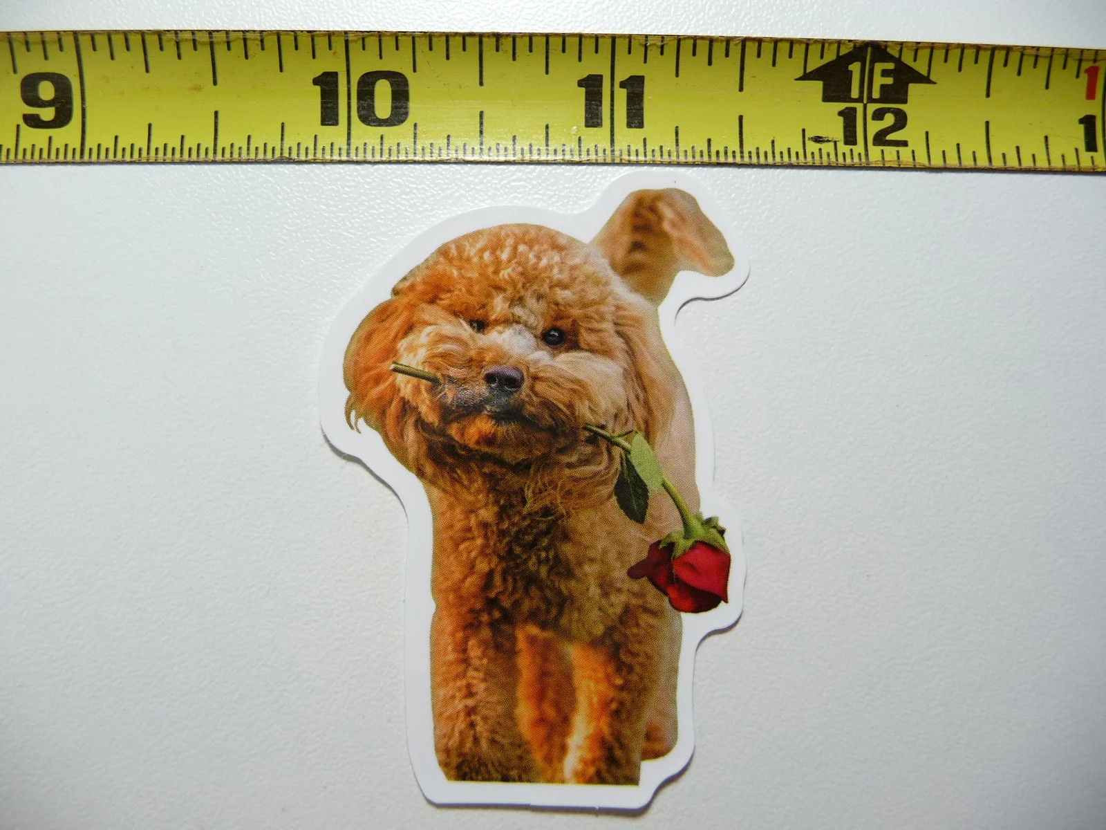 TOY POODLE FUNNY DOG SMALL STICKER DECAL PET PLAY FURBALL FUNNY