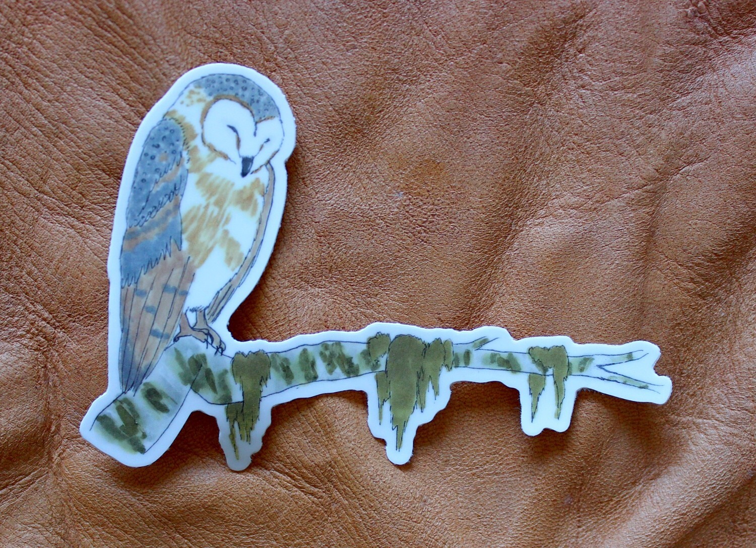 Sleeping Barn Owl 4″ Indoor/Outdoor Vinyl Sticker