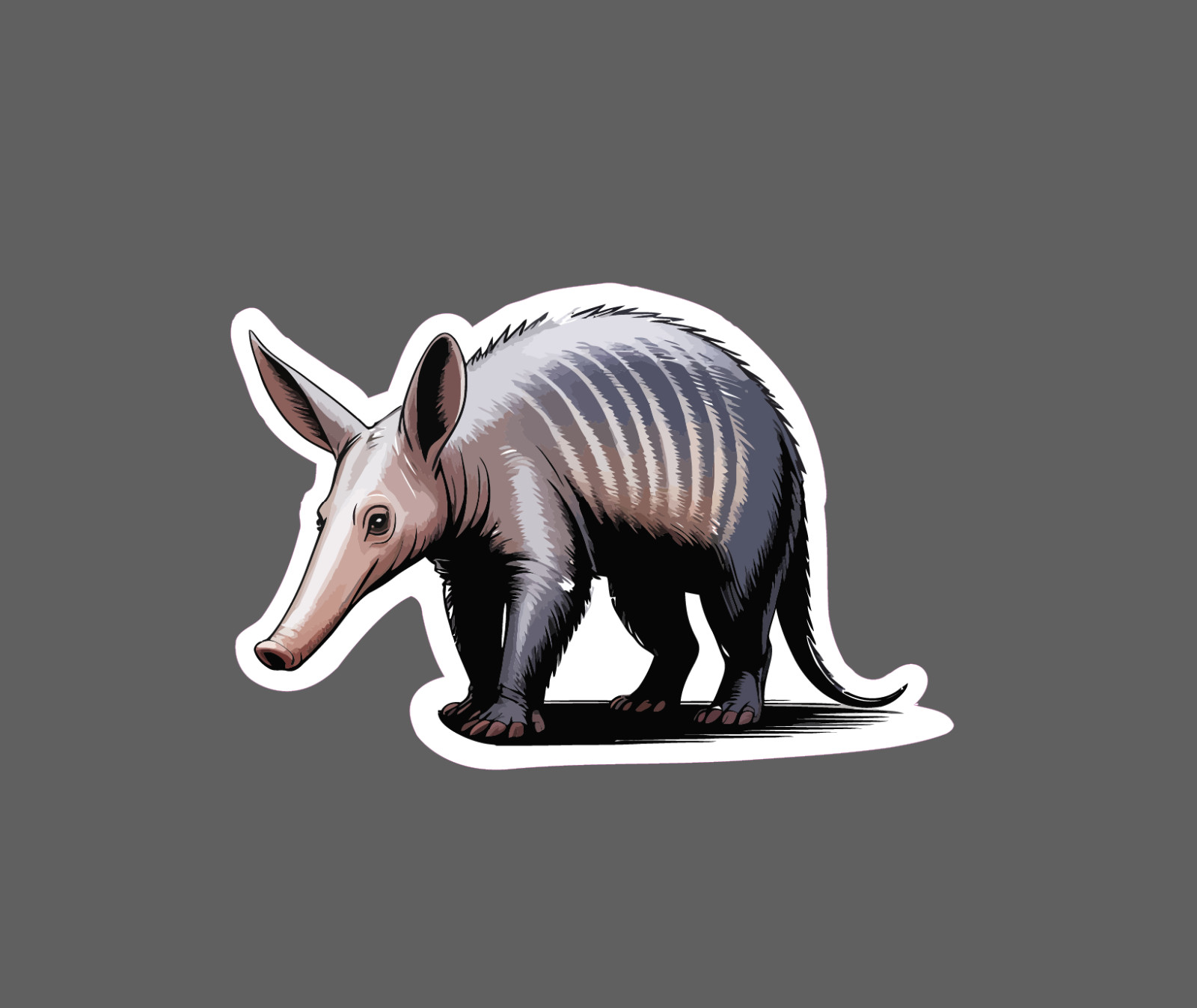 Aardvark Sticker Anteater Animal Outdoor Wildlife Nature Gift Waterproof NEW