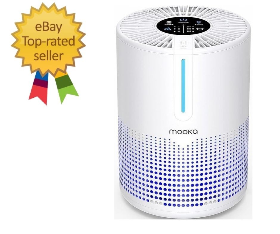 Air Purifier for Bedroom Home Small Portable HEPA Filter Fragrance Odor Dust