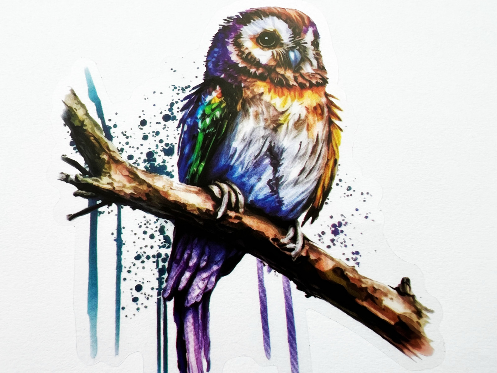 Colorful Owl 3 Inch Transparent Sticker Owl Eyes Feathers Decal