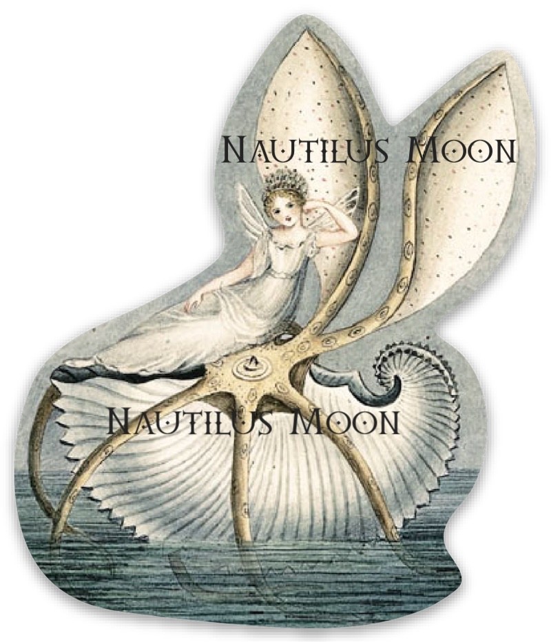 Fairy on a Nautilus Vinyl Sticker Die Cut 3″ Tall – Free Shipping