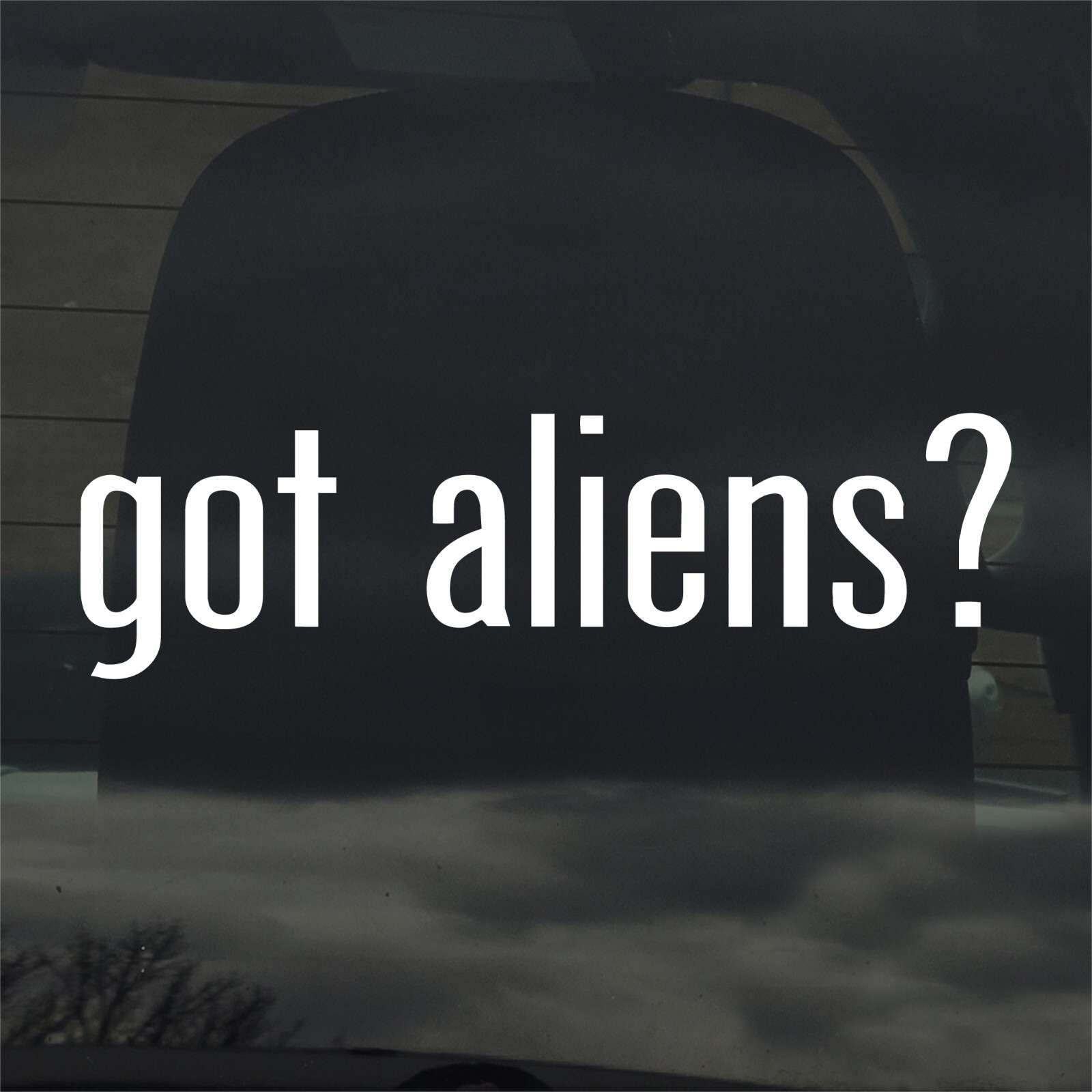 Got Aliens? Custom Vinyl Sticker Decal UFO Flying Saucer Extraterrestrial