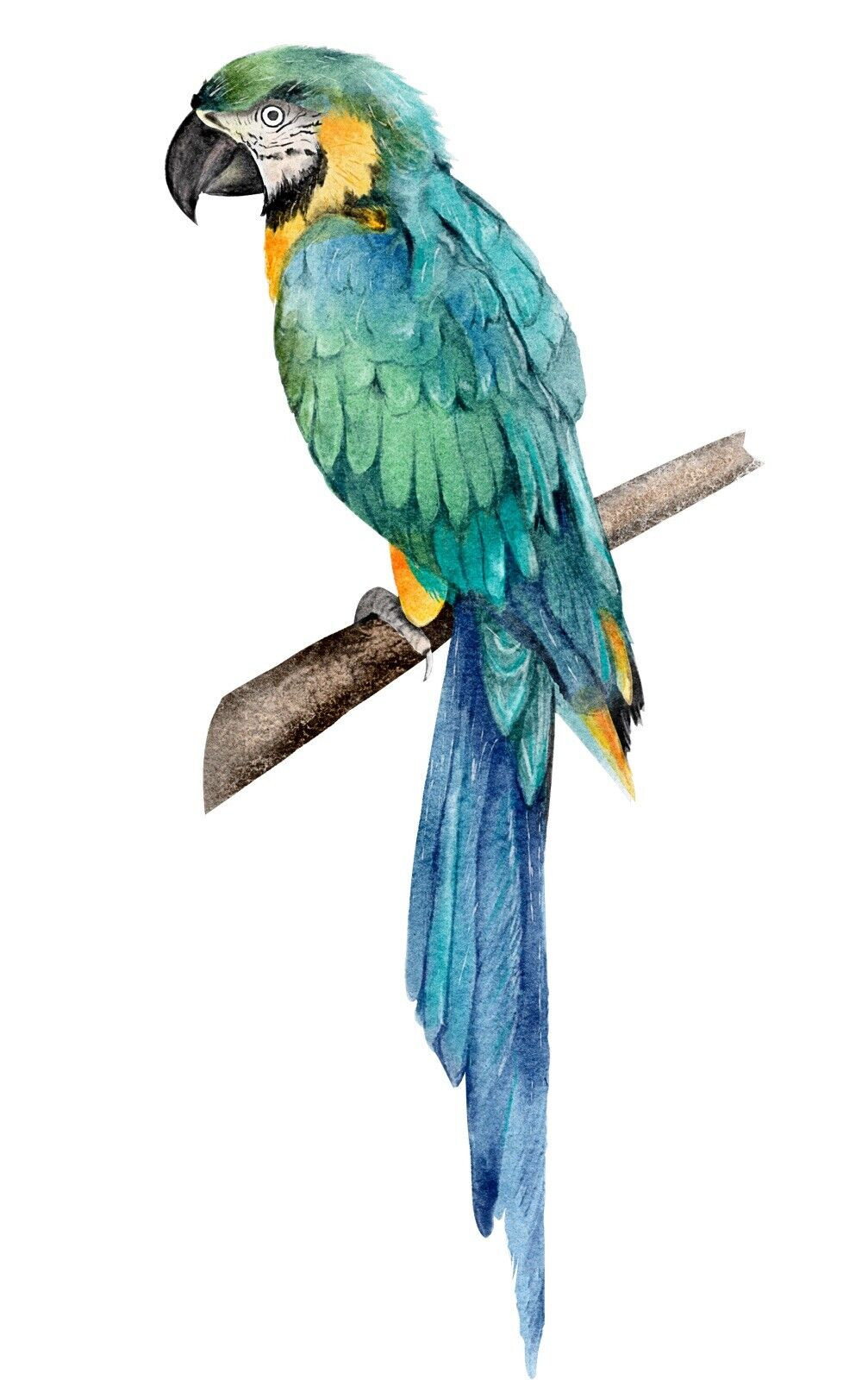 Blue Parrot Sticker Decal