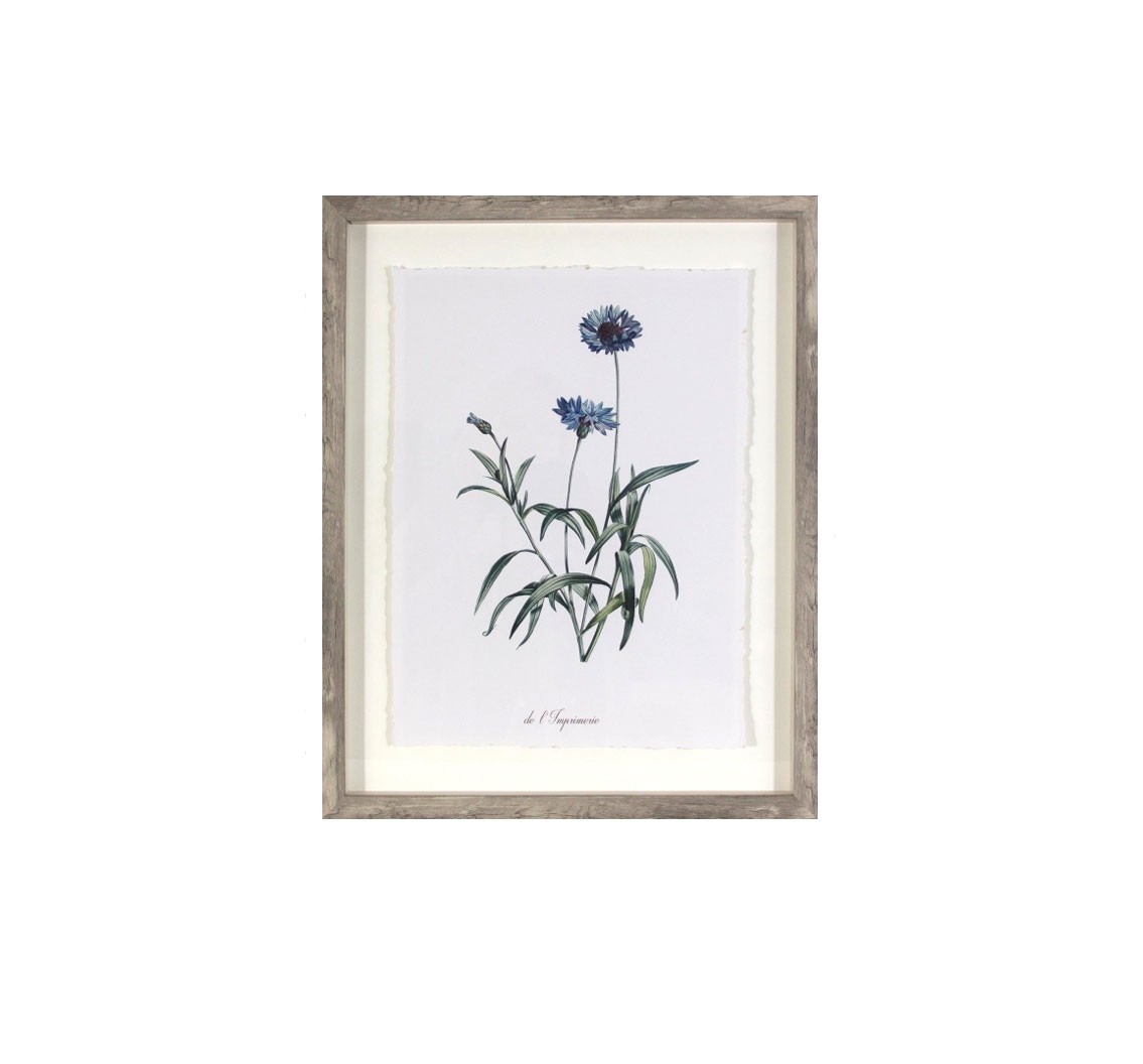 (Set of 3) 16″x20″ Framed Vintage Botanicals Decorative Wall Art – Threshold