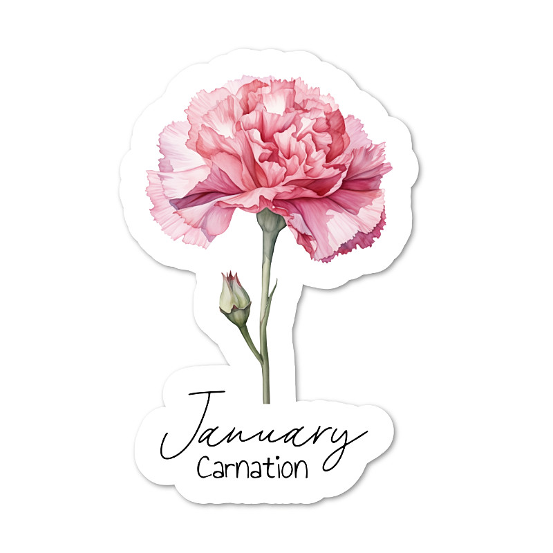 January Carnation Vinyl Sticker, Water Resistant, Scrapbooking, Laptop, 2 sizes
