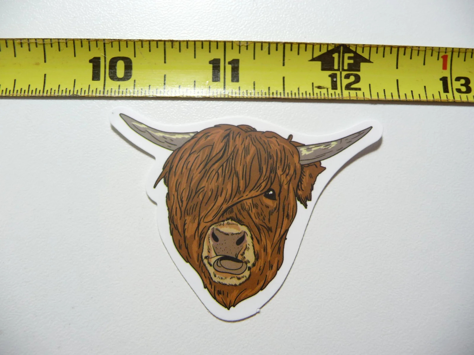 HIGHLAND COW CATTLE PEEKING EYE SMALL STICKER DECAL FARM RANCH LIVESTOCK