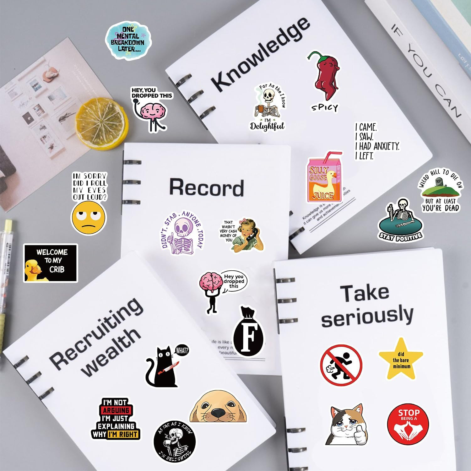 100Pcs Funny Prank Meme Stickers Bulk, Snarky Meme Sticker for Kids Teens Adults