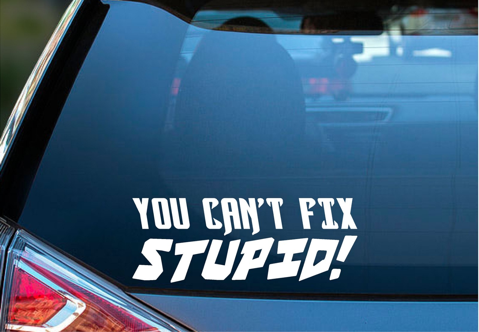 You Can’t Fix Stupid Die Cut Vinyl Decal Funny Car Truck Window Laptop Toolbox