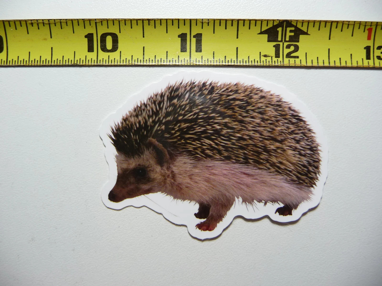 LEFT FACED HEDGEHOG SMALL STICKER DECAL WILDLIFE PRESERVE NATURE ANIMAL
