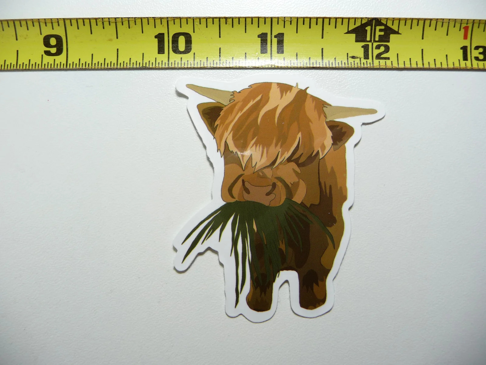 SCOTTISH HIGHLAND CATTLE YOUNG CHEWING GRASS SMALL STICKER DECAL RANCH COW