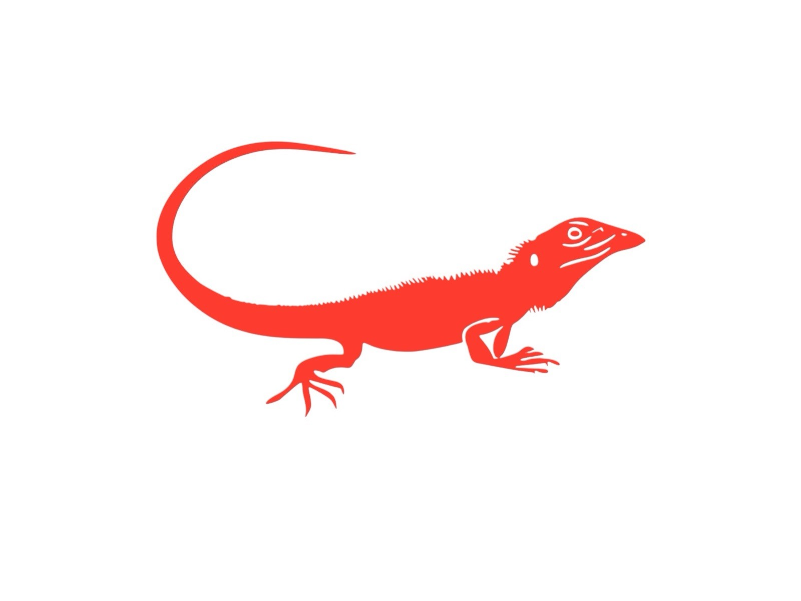 Lizard design#4 Decal for car Windows Laptops most Smooth Surfaces