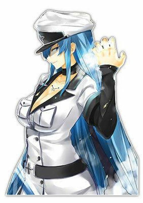 Akame Ga Kill Esdeath Anime JDM Car Window Decal Sticker 003
