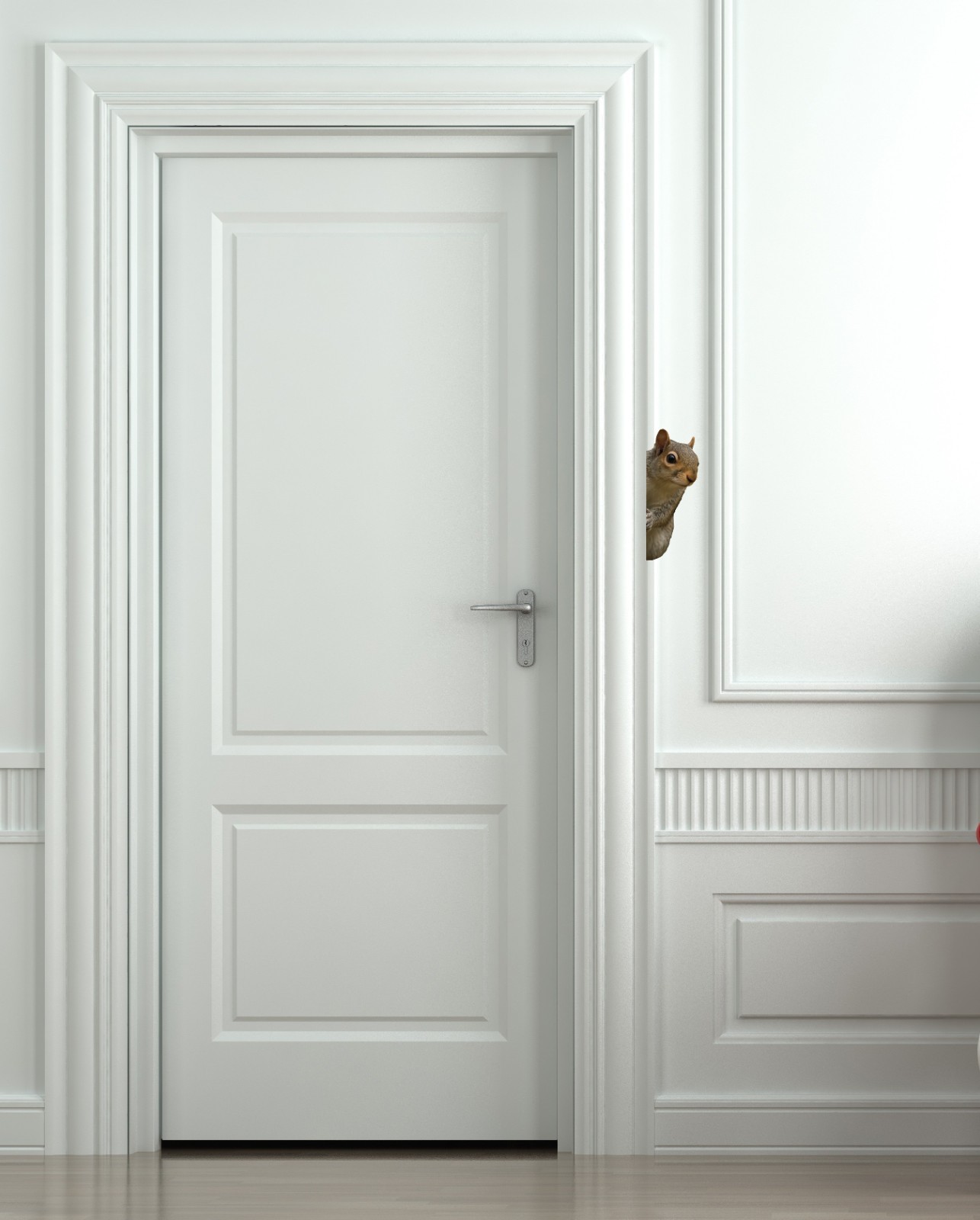 Squirrel Peeking Around Wall Decal – 2.5″ wide x 6″ tall