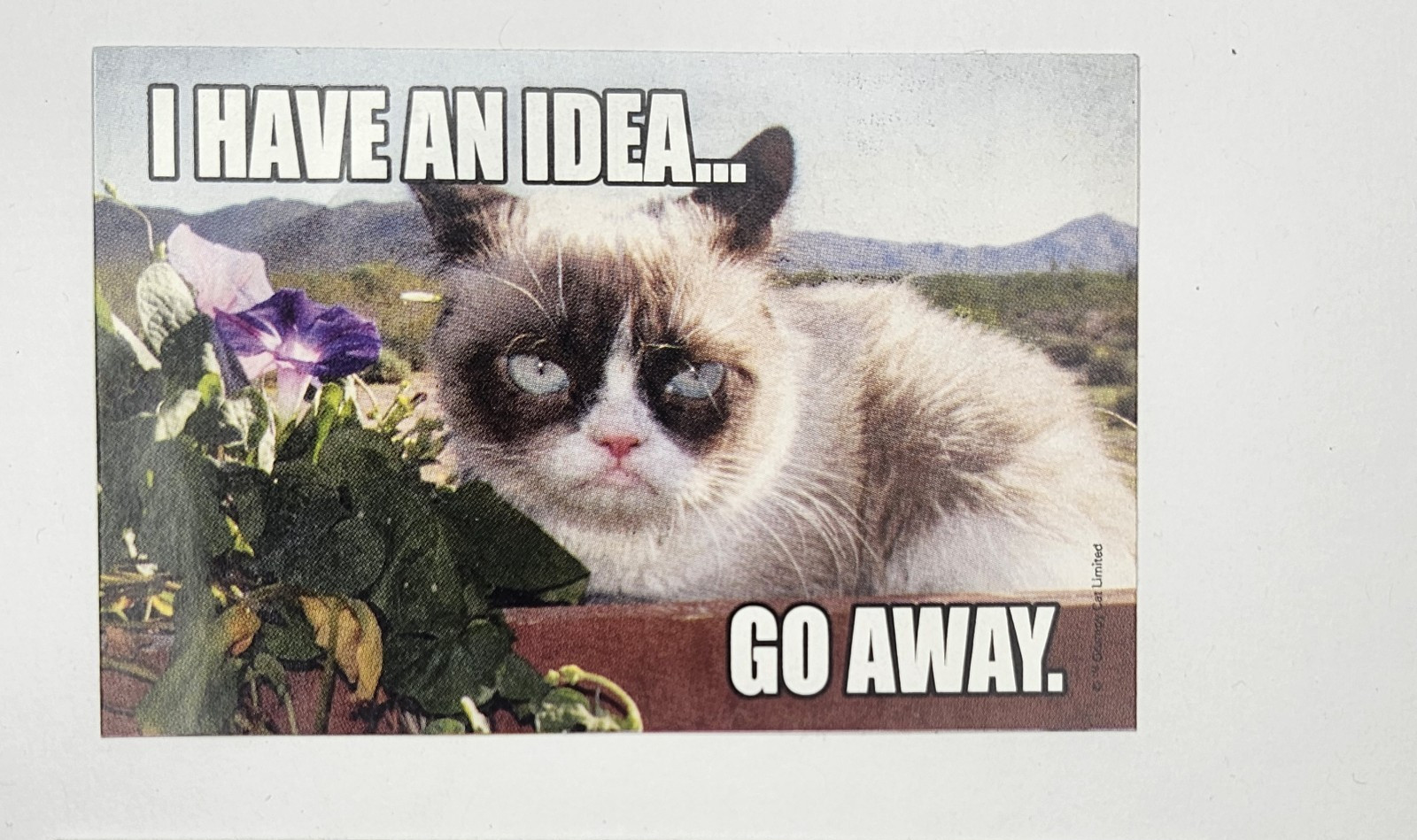 Grumpy Cat Sticker Collectible Sandy Lion GCS1 Series Vending Machine