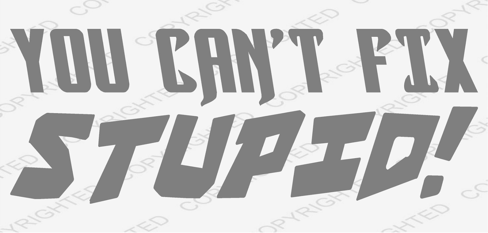 You Can’t Fix Stupid Die Cut Vinyl Decal Funny Car Truck Window Laptop Toolbox
