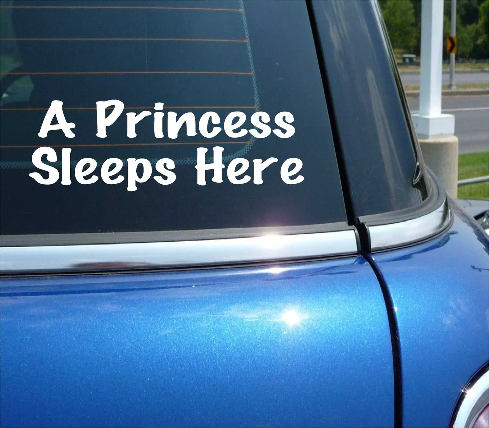 A PRINCE SLEEPS HERE DECAL STICKER BEDROOM CHILD CHILDREN BABY BED ROOM BOY