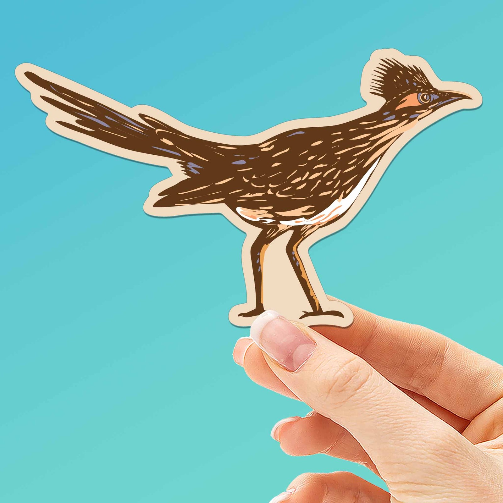 Roadrunner Sticker