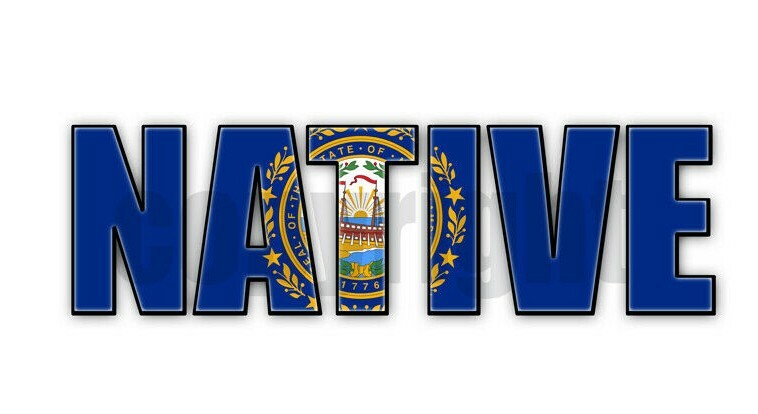 New Hampshire Native Flag Stickers Flag Decals NH State Flag Stickers