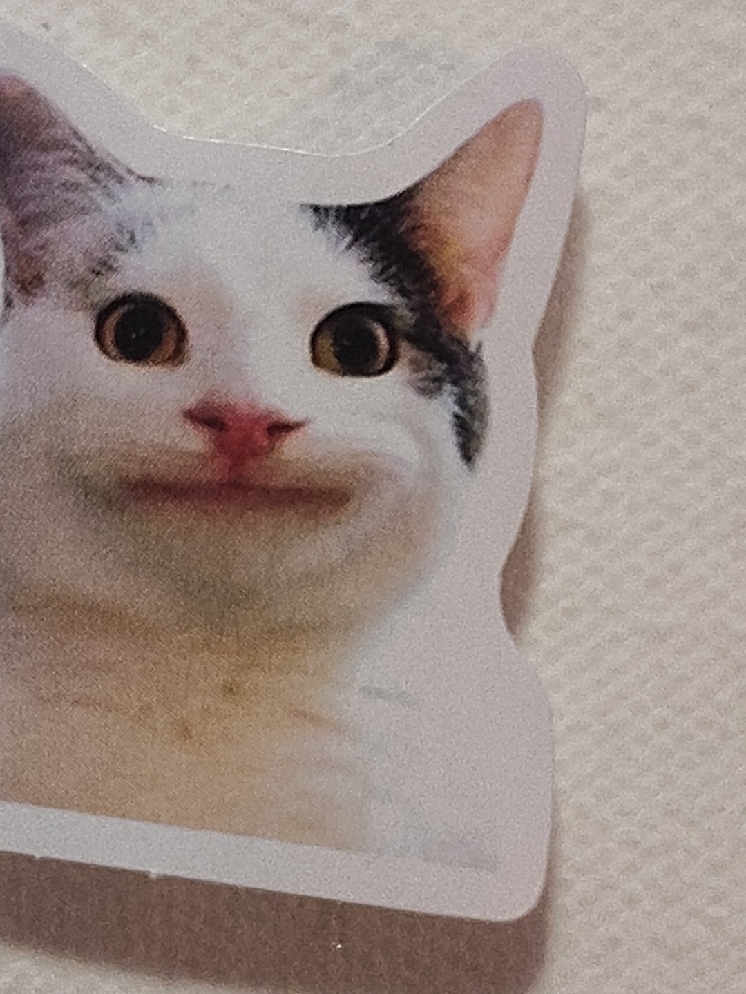 Funny Cat Face Happy Kitty Sticker Decal Laptop Phone Fashion 1.5″ Tall