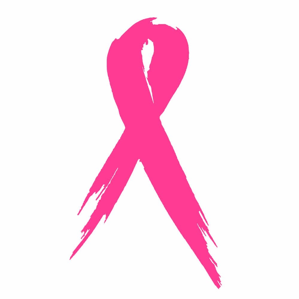 Breast Cancer Awareness Ribbon Car Decal Vinyl Sticker 3″x5″ Fuchsia Pink Lot