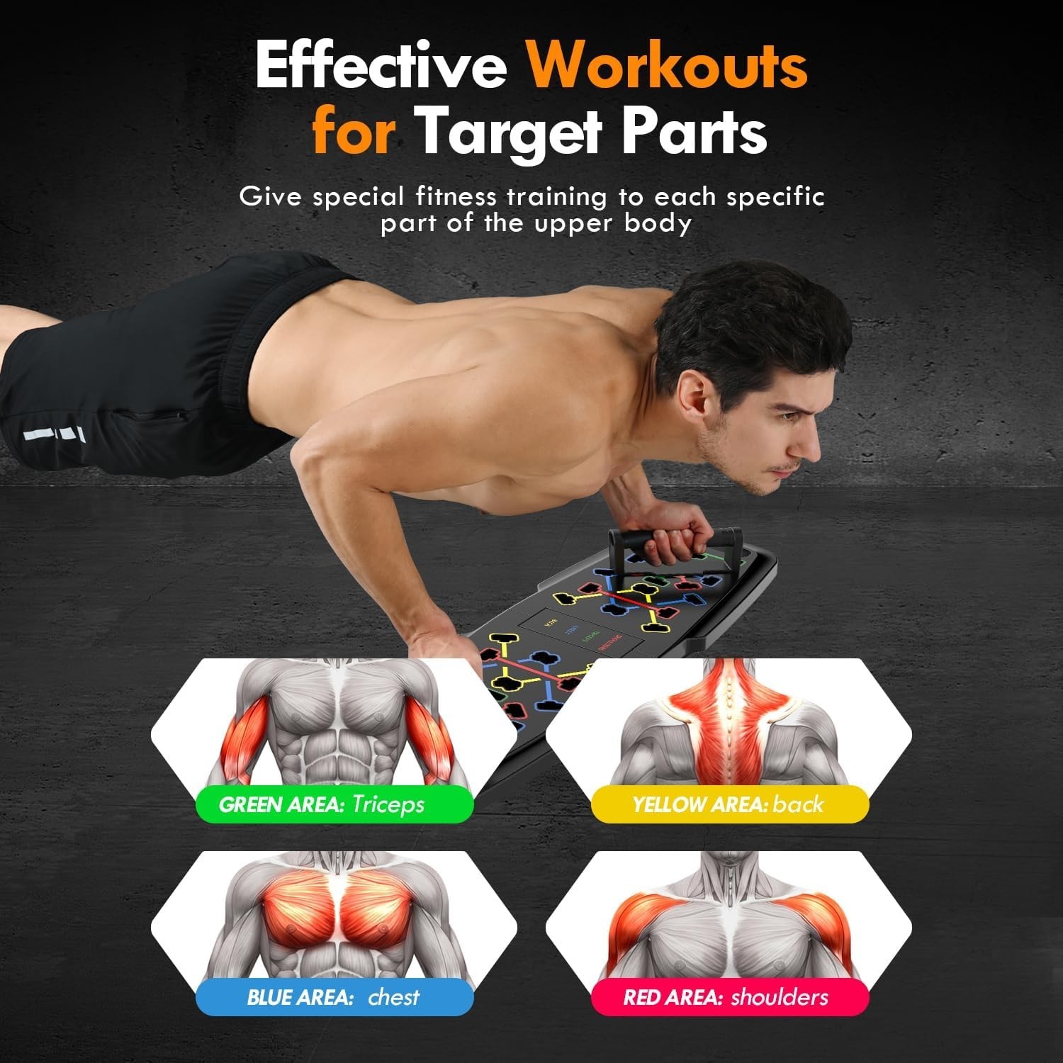 Push up Board,Home Gym,Portable Exercise Equipment,Pilates Bar and 20 Fitness Ac