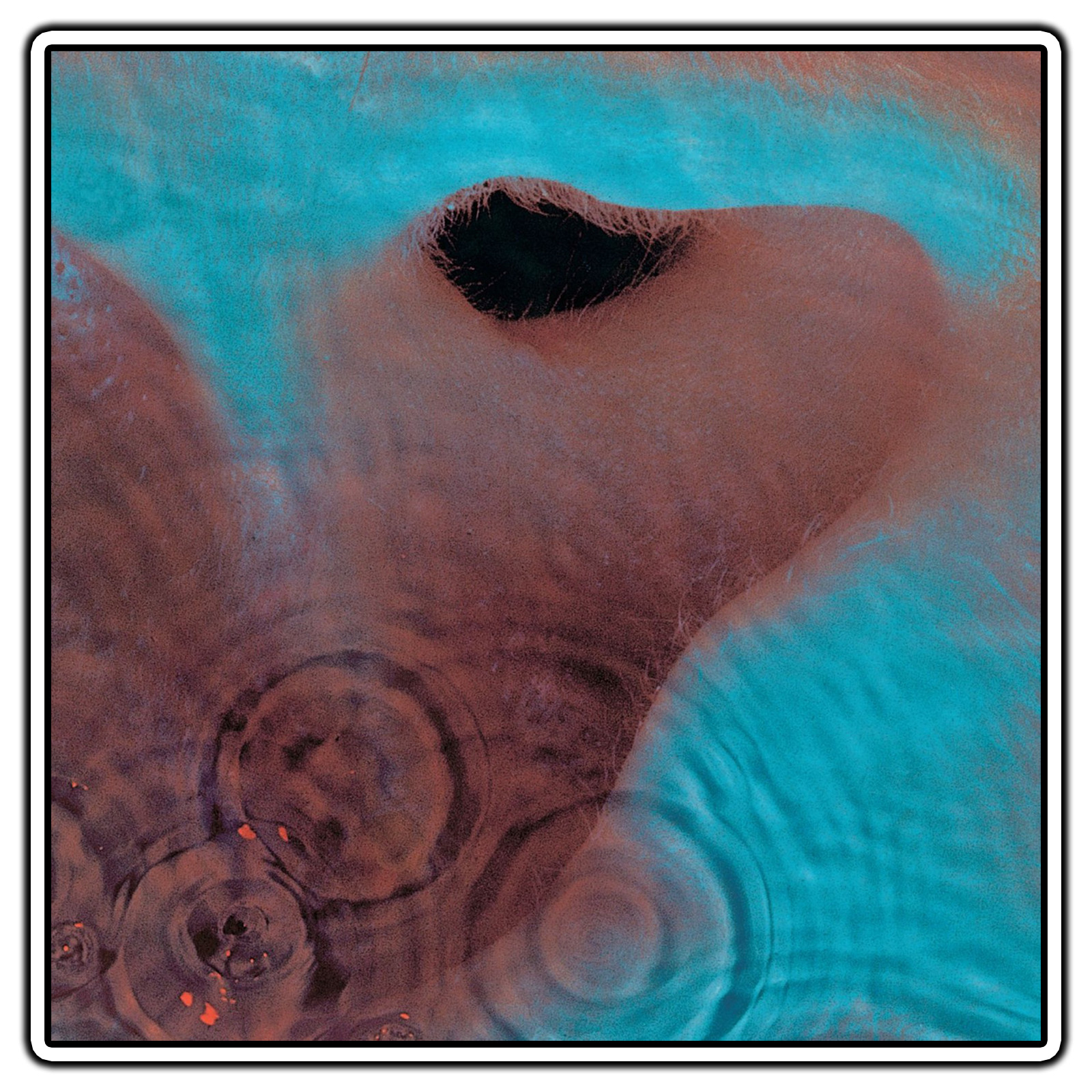 Pink Floyd – Meddle Album Cover Sticker Waterproof Vinyl Decal Die-Cut