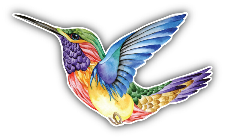 Watercolor Hummingbird Car Bumper Sticker Decal ”SIZES”