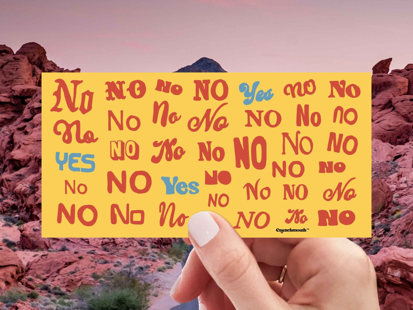 No No Yes Waterproof Vinyl Bumper Sticker For Water Bottle, Laptop, 7.5″X3.75″
