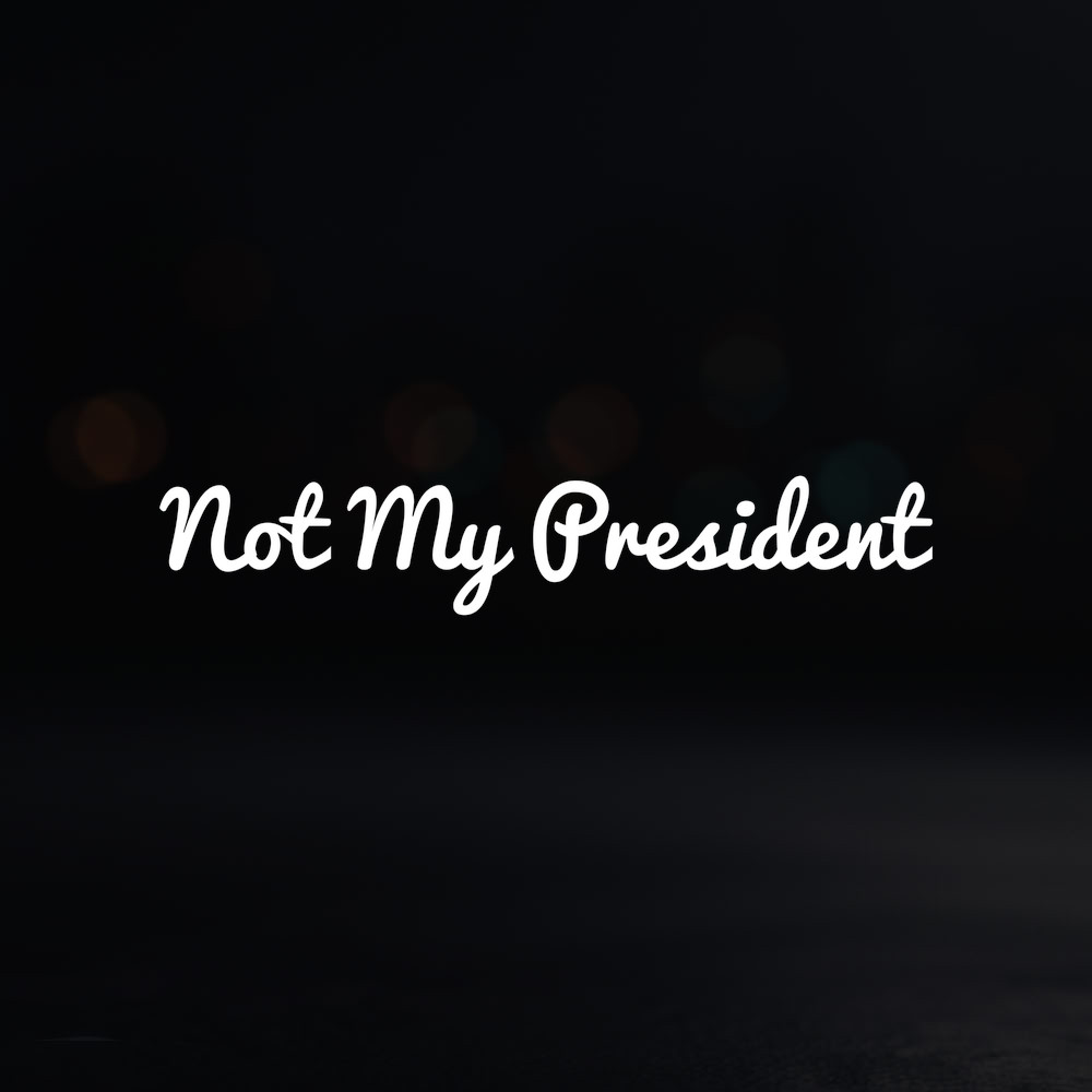 8in Vinyl Decal Sticker – “Not My President”
