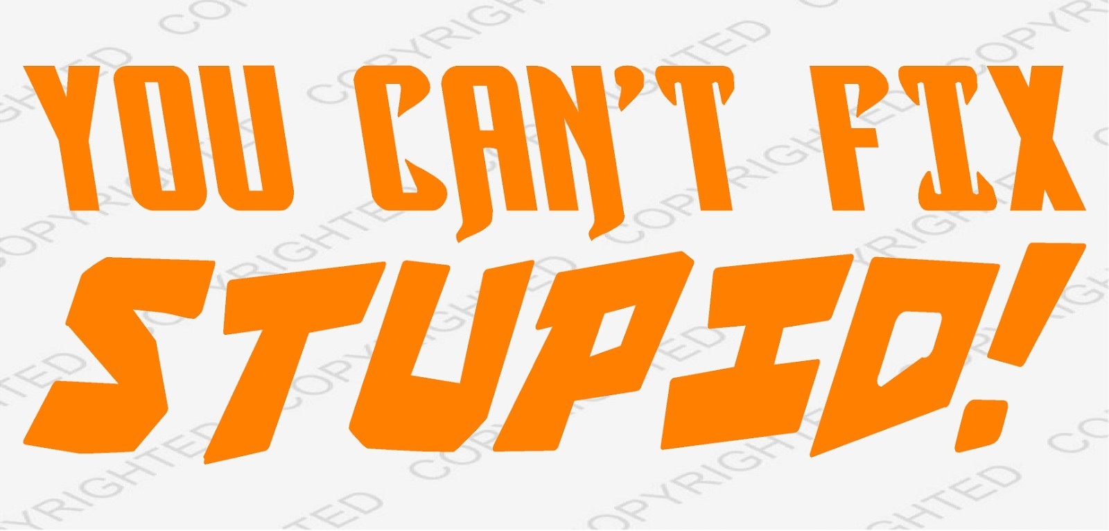 You Can’t Fix Stupid Die Cut Vinyl Decal Funny Car Truck Window Laptop Toolbox