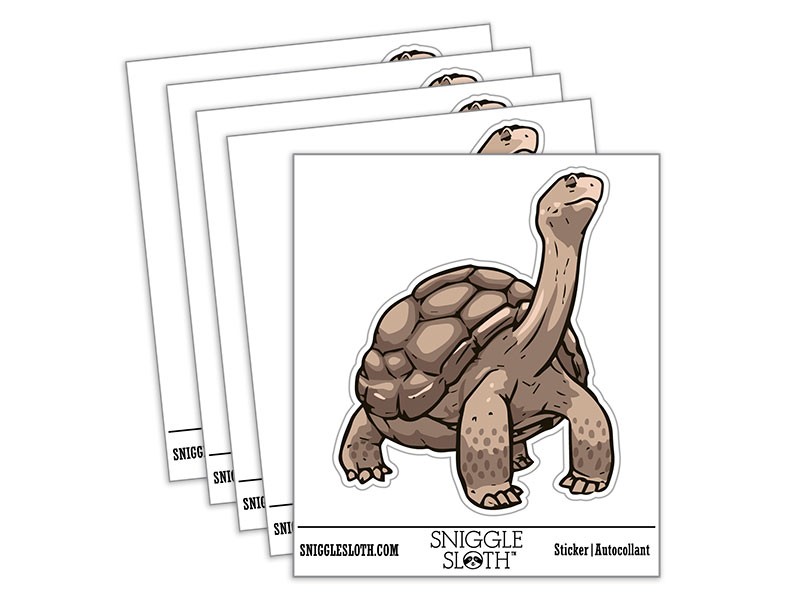 Giant Galapagos Aldabra Tortoise Reptile Turtle Vinyl Sticker Set – 5 Pack