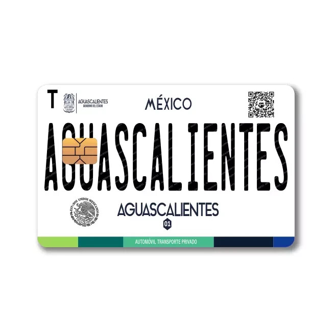 Mexican License Plate Sticker (4-Pack) | CHOOSE STATE | Mexico Placa Card Skin D