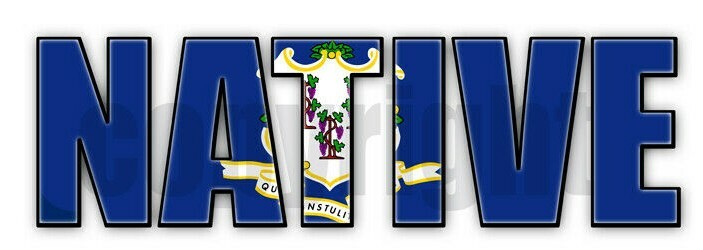 Connecticut Native Flag Stickers Flag Decals Indoor Outdoor Stickers