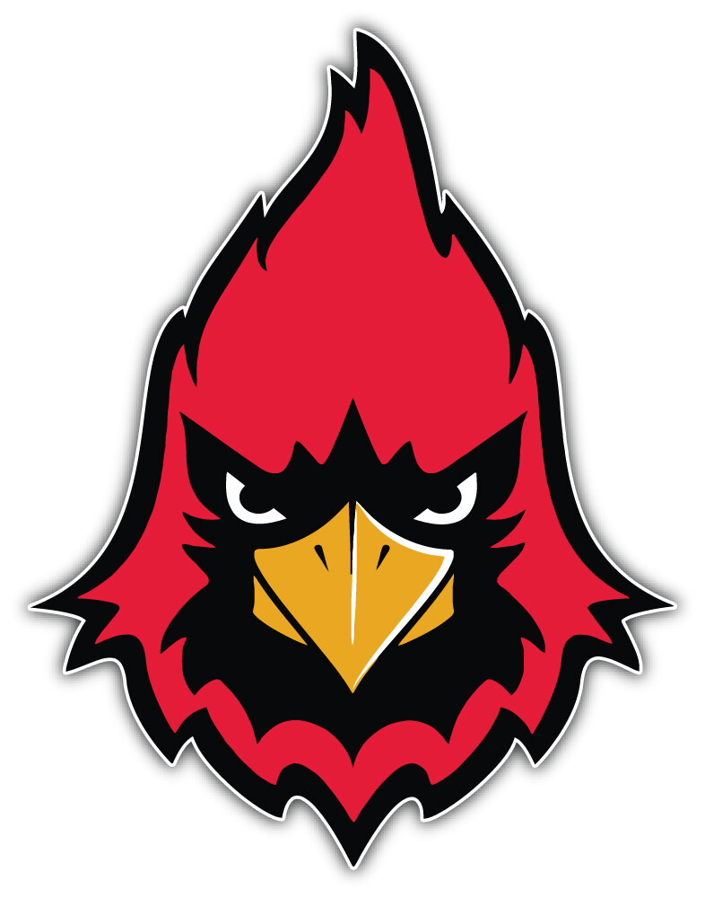 Arizona Cardinals Bird Head NFL Sport Car Bumper Sticker Decal “SIZES”