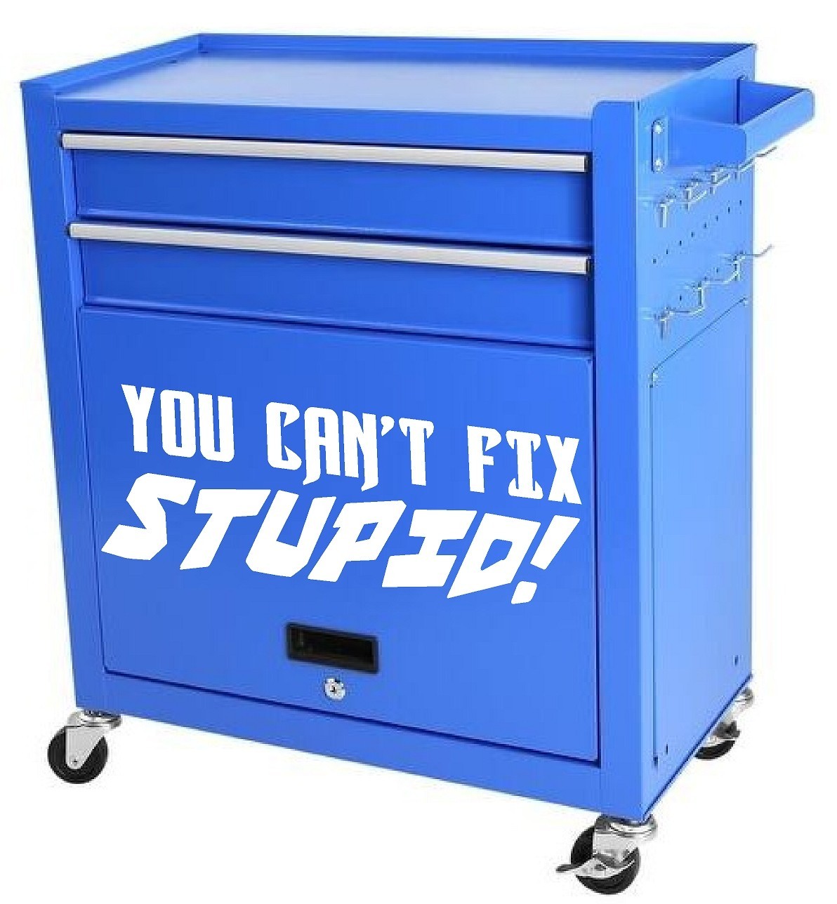 You Can’t Fix Stupid Die Cut Vinyl Decal Funny Car Truck Window Laptop Toolbox