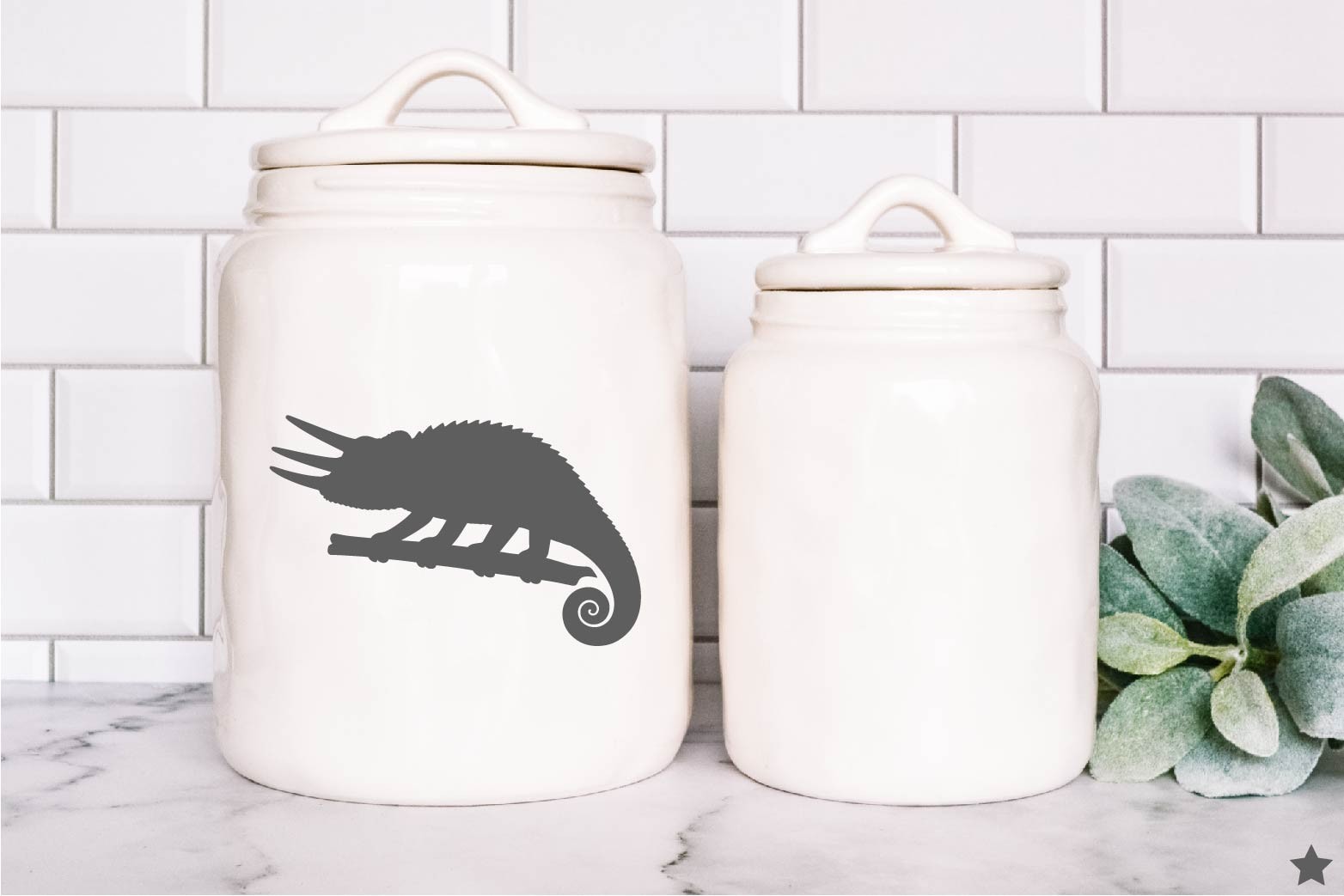 Chameleon Decal Sticker Jacksons Horned Cham Herp Reptile Pet Keeper Love Life